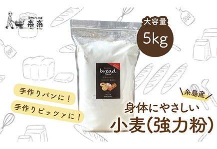 [糸島産小麦使用]伊都のみのり(強力粉)5kg[糸島市][天然パン工房楽楽][ いとしまごころ][AVC061] 国産小麦 強力粉 オーガニック 中力粉 パン ぱん 小麦粉国産 小麦粉 オーガニック 中力粉 ぱん