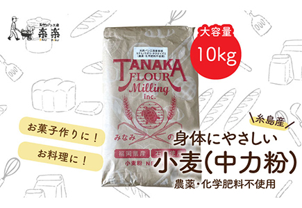 [業務用]伊都のかおり(中力粉)10kg[糸島市][天然パン工房楽楽][いとしまごころ][AVC063] 国産小麦 オーガニック 中力粉 パン ぱん 小麦粉国産小麦 小麦粉オーガニック 小麦粉中力粉 小麦粉パン 小麦粉ぱん