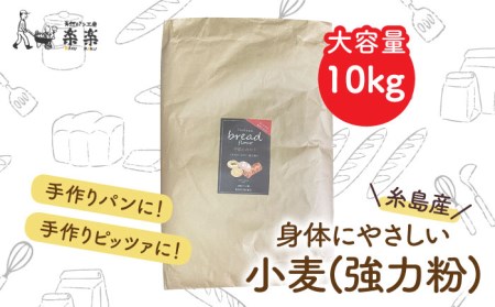 [業務用]伊都のみのり(強力粉)10kg[糸島市][天然パン工房楽楽][いとしまごころ][AVC064] 国産小麦 強力粉 オーガニック 中力粉 パン ぱん 小麦粉国産小麦 小麦粉 オーガニック 中力粉 ぱん