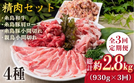 [全3回定期便]牛肉 豚肉 鶏肉 日常使いの精肉セット 930g 2-3人前 4種[糸島市][糸島ミートデリ工房][ACA193] 糸島 和牛 牛肉 豚肉 鶏肉 BBQ 焼肉 肉 牛 豚 鶏 普段 キャンプ 肉セット 和牛 BBQ 焼肉 国産 牛 豚 鶏 料理 家庭用 セットキャンプ アウトドア