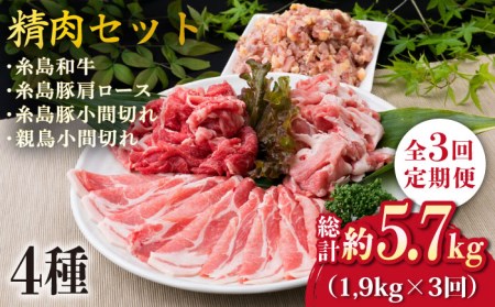 [全3回定期便]牛肉 豚肉 鶏肉 日常使いの精肉セット 1,930g 4-5人前 4種[糸島市][糸島ミートデリ工房][ACA197] 糸島 和牛 牛肉 豚肉 鶏肉 BBQ 焼肉 肉 牛 豚 鶏 普段 キャンプ 肉セット 和牛 BBQ 焼肉 国産 牛 豚 鶏 料理 家庭用 セットキャンプ アウトドア