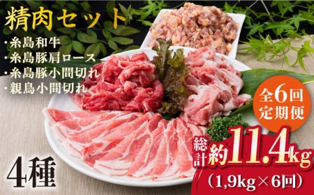 [全6回定期便]牛肉 豚肉 鶏肉 日常使いの精肉セット 1,930g 4~5人前 4種[糸島][糸島ミートデリ工房][ACA198] 糸島 和牛 牛肉 豚肉 鶏肉 BBQ 焼肉 肉 牛 豚 鶏 普段 キャンプ 肉セット糸島 肉セット和牛 肉セット牛肉 肉セット豚肉 肉セット鶏肉 肉セットBBQ 肉セット焼肉 肉セット国産 肉セット肉 肉セット牛 肉セット豚 肉セット鶏 肉セット料理 肉セット普段 肉セット精肉 肉セットトンカツ 肉セット焼肉 肉セットハンバーグ 肉セット小間切れ 肉セット肩ロース 肉セット和牛 肉セットキャンプ 肉セットアウトドア