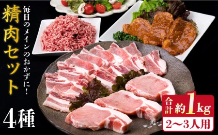 毎日 の メイン の おかず を 彩る 精肉セット 4種 ( 約1000g ) 2-3人前 4種 糸島市 / 糸島ミートデリ工房[ACA200] 豚肉 博多和牛 牛肉 BBQ トンカツ 焼肉 ハンバーグ 味噌 ミンチ 肉セット豚肉 肉博多 和牛 牛肉 BBQ トンカツ 焼肉 ハンバーグ 味噌漬け ミンチ コロッケ 国産 料理 ロース バラ セットキャンプ アウトドア