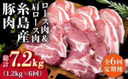 【全6回定期便】糸島豚ロース肉6枚 肩ロースカツ5枚 合計11枚セット 糸島市/糸島ミートデリ工房[ACA230]