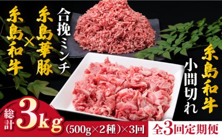 [全3回定期便]糸島和牛 小間切れ 500g & 糸島和牛 豚 合挽ミンチ 500g 合計1kg[糸島市][ミートデリ工房][ACA237] 博多 牛肉 豚肉 国産 ハンバーグ メンチカツ 牛丼 肉じゃが 肉セット博多 肉セット 牛肉 豚肉 国産 ハンバーグ メンチカツ 牛丼 肉じゃが すき焼き セットキャンプ アウトドア