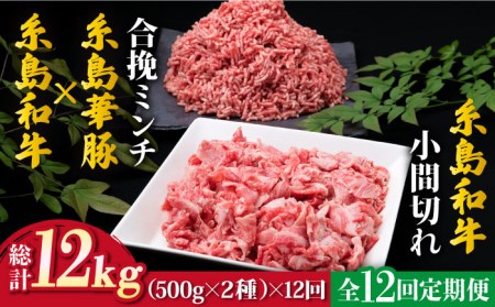 [全12回定期便]糸島和牛小間切れ500g & 糸島和牛豚合挽ミンチ 500g 合計1kg[糸島市][ミートデリ工房][ACA239] 博多 牛肉 豚肉 国産 ハンバーグ メンチカツ 牛丼 肉じゃが 肉セット博多 肉セット 牛肉 豚肉 国産 ハンバーグ メンチカツ 牛丼 肉じゃが すき焼き セットキャンプ アウトドア