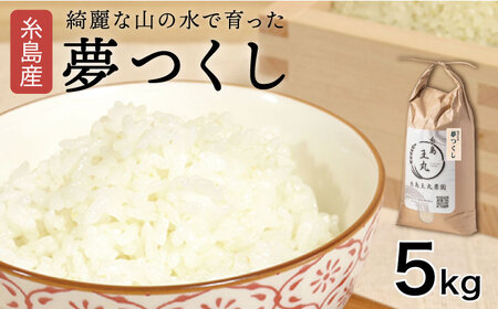 [令和6年産新米]糸島産 夢つくし 5kg 糸島市 / 糸島王丸農園 ( 谷口汰一 )[いとしまごころ]