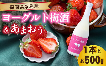 [先行予約][冬]ヨーグルト梅酒720ml ×あまおう 約250g×2パック [2024年12月上旬以降順次発送] 糸島市 / 南国フルーツ株式会社 [AIK012] 先行予約 リキュール梅酒 リキュールヨーグルト お酒 あまおう いちご 苺 イチゴ ギフト セット 贈答 贈り物 南国フルーツ 期間限定 九州 博多