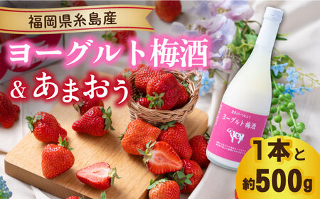 [先行予約][春]ヨーグルト梅酒720ml ×あまおう 約250g×2パック [2025年2月上旬以降順次発送] 糸島市 / 南国フルーツ株式会社 [AIK013] 先行予約 リキュール梅酒 リキュールヨーグルト お酒 あまおう いちご 苺 イチゴ ギフト セット 贈答 贈り物 南国フルーツ 期間限定 九州 博多