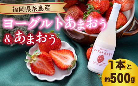 [先行予約][冬]ヨーグルトあまおう720ml×あまおう約250g×2パック [2024年12月上旬以降順次発送] 糸島市 / 南国フルーツ株式会社 [AIK014] 先行予約 リキュール リキュールセット いちご 苺 イチゴ お酒 フルーツ セット ギフト 贈答 贈り物 果物 酒 期間限定 九州 博多