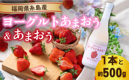 [先行予約][春]ヨーグルトあまおう720ml ×あまおう 約250g×2パック [2025年2月上旬以降順次発送] 糸島市 / 南国フルーツ株式会社 [AIK015] 先行予約 リキュール リキュールセット いちご 苺 イチゴ お酒 フルーツ セット ギフト 贈答 贈り物 果物 酒 期間限定 九州 博多