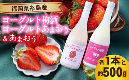 [先行予約][冬]ヨーグルトあまおう&ヨーグルト梅酒 各720ml×あまおう 約250g×2パック [2024年12月上旬以降順次発送] 糸島市 / 南国フルーツ株式会社 [AIK018] 先行予約 リキュール梅酒 リキュール お酒 いちご 苺 イチゴ ギフト セット フルーツ 果物 酒 セット 詰め合わせ 期間限定 九州 博多