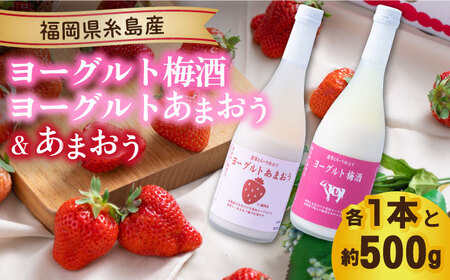 [先行予約][春]ヨーグルトあまおう&ヨーグルト梅酒 各720ml×あまおう 約250g×2パック [2025年2月上旬以降順次発送] 糸島市 / 南国フルーツ株式会社 [AIK019] 先行予約 リキュール梅酒 リキュール お酒 いちご 苺 イチゴ ギフト セット フルーツ 果物 酒 セット 詰め合わせ 期間限定 九州 博多