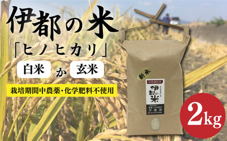 [令和5年産]伊都の米 ( ヒノヒカリ ) 2kg 糸島市 / 伊都福祉サービス協会[APL001] 白米米 白米お米 白米ご飯 白米玄米 白米ひのひかり 白米九州