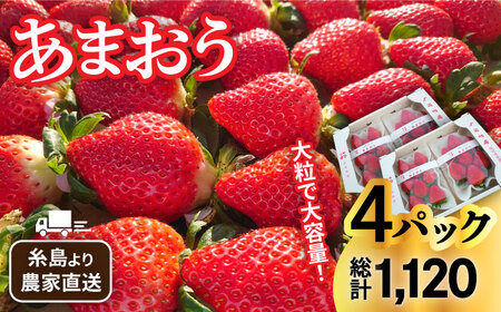 【先行予約受付中・2024年1月下旬より順次発送】【農家直送！】 糸島産 あまおう 280g × 4パック (GおよびSサイズ) 糸島市 / 後藤農園 [AML003] いちご 苺 イチゴ あまおう 果物 フルーツ ストロベリー グルメ パフェ ケーキ パンケーキ あまおう苺 あまおうギフト あまおう贈り物 博多あまおう 福岡あまおう 九州いちご 糸島フルーツ あまおういちご あまおう苺 あまおうイチゴ あまおう果物 あまおうフルーツ あまおうストロベリー あまおう九州 あまおうお取り寄せ あまおうパフェ あまおうショートケーキ あまおうケーキ あまおうパンケーキ あまおうお菓子 あまおう送料無料 あまおう予約販売 あまおうランキング あまおう上位 あまおう人気 あまおう博多