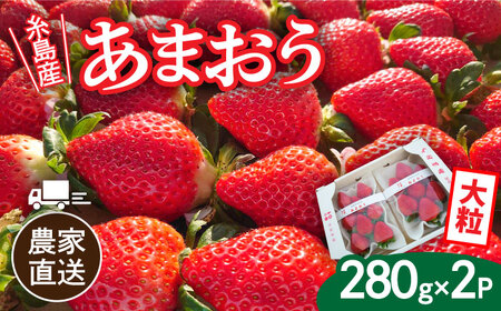 [先行予約][農家直送!]糸島産あまおう 280g×2パック (DXまたはGサイズ) [2024年12月以降順次発送]糸島市 / 後藤農園 [AML001] いちご 福岡 あまおういちご 苺 イチゴ 果物 フルーツ ストロベリー 福岡県 お取り寄せ パフェ ショートケーキ ケーキ クリスマス パンケーキ