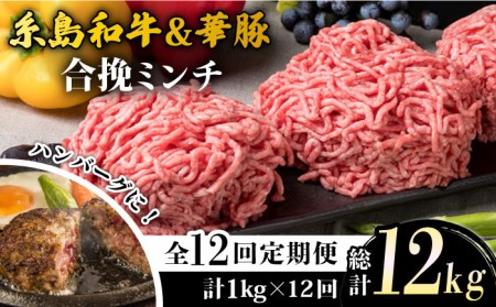 yS12ցza  ҃~` 500g×2p×12 v12kg ~[gfH[ [ACA259]
