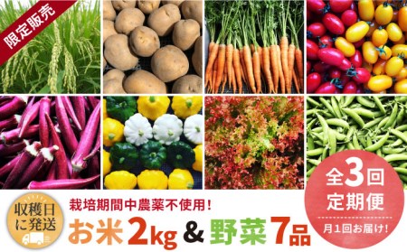 [全3回定期便][☆畑直送☆限定販売!栽培期間中農薬不使用!]米 2kg & 野菜 7品 の セット 糸島市 / オーガニックナガミツファーム[AGE036] 野菜 詰め合わせ やさい オーガニック 米 白米 精米 栽培期間中 農薬不使用