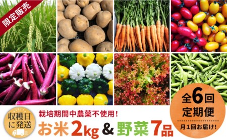 【全6回定期便】【☆畑直送☆限定販売！栽培期間中農薬不使用！】お 米 2kg & 野菜 7品のセット 糸島市 / オーガニックナガミツファーム [AGE037]