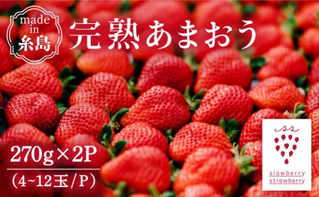 [予約:2025年1月上旬より順次発送]完熟あまおう 270g × 2パック 糸島市 / slowberry strawberry [APJ002] あまおういちご イチゴ 苺 福岡県産 フルーツ スイーツ 予約販売 予約受付中 ケーキ ランキング 上位 人気 おすすめ 果物 完熟 農家直送 九州 博多 2パック