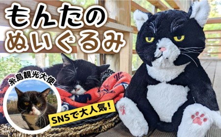 【 SNSで人気の猫 / 糸島観光大使】【 もんた 】 ぬいぐるみ 糸島市 / Basismall 猫 ネコ 観光大使[AXL001] 猫ぬいぐるみ 猫ねこ 猫ネコ 猫観光大使 猫オリジナルグッズ 猫九州 猫福岡 猫糸島 猫もんた 猫モンタ