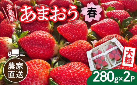 [先行予約][農家直送!]糸島産 春 あまおう 280g × 2パック (DXまたはGサイズ) [2025年2月上旬より順次発送] 糸島市 / 後藤農園 [AML004] あまおういちご 苺 イチゴ 果物 フルーツ ストロベリー 福岡県 お取り寄せ パフェ ショートケーキ ケーキ クリスマス パンケーキ 人気 おすすめ