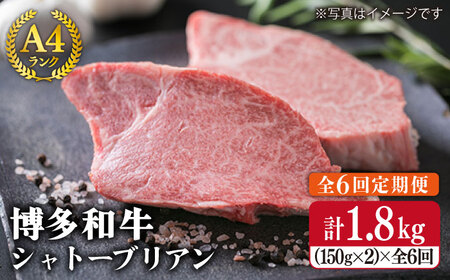 [全6回定期便][極厚シャトーブリアン]約150g×2枚 A4ランク 博多和牛 ヒレ肉 極厚シャトーブリアン / 糸島市 / 糸島ミートデリ工房[ACA134] 牛肉定期便 牛肉肉 にく 和牛 ステーキ ギフト 焼肉