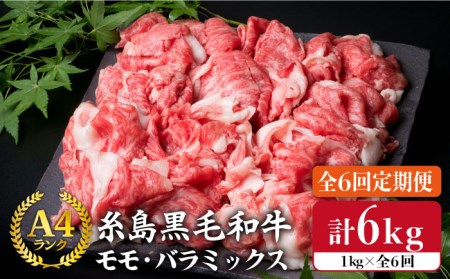 [全6回定期便]A4ランク 糸島黒毛和牛 切り落とし 1kg×6回[糸島市][糸島ミートデリ工房][ACA146] 牛肉 和牛 小分 250 牛丼 すき焼き 焼肉 BBQ 赤身 国産 福岡 切り落とし1kg 小分け 牛肉切り落とし 牛切り落とし 黒毛和牛 和牛切り落とし 国産 牛 和牛 スライス 薄切り 定期便 月1回 毎月 牛肉 牛肉切り落とし 牛 肉 にく