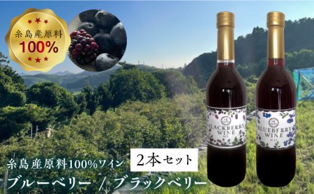 糸島産 ブルーベリー & ブラックベリー ワイン 720ml×2種 セット 糸島市 / HYM FARM [AHM001] ワイン ワイン ワイン ワイン ワイン ワイン ワイン