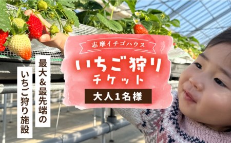 [志摩イチゴハウス]いちご狩り チケット ( 大人 1名様 分 ) 糸島市 / 株式会社 糸島農園 [APM001] 体験いちご 体験スイーツ 体験ギフト 体験デザート 体験苺 体験チケット 体験券 体験入場券 体験イチゴ狩り 体験体験型返礼品 体験旅行 体験九州旅行 体験福岡 体験糸島