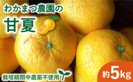 [先行予約][有機栽培]甘夏 5kg 栽培期間中 農薬不使用 [2025年4月中旬以降順次発送]糸島市 / わかまつ農園 果物 フルーツ [AHB050] みかん甘夏 みかんあまなつ 有機栽培 栽培期間中 農薬不使用 国産 ミカン ギフト 皮 ピール くだもの