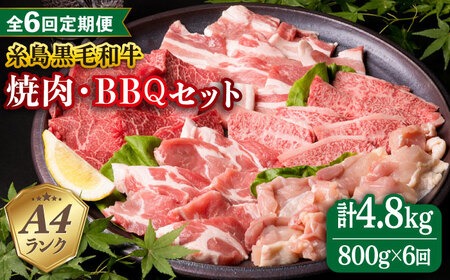 [全6回定期便]焼肉・バーベキュー セット 計800g 牛モモ 牛バラ 豚バラ 豚肩ロース 鶏もも肉 糸島市 / 糸島ミートデリ工房 [ACA273] 牛肉豚肉鶏肉セット定期便焼肉焼き肉 牛肉豚肉鶏肉セット定期便焼肉焼き肉