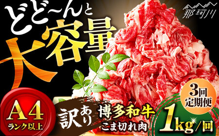 [全3回定期便]博多和牛 牛肉 切り落とし 大容量 1000g(500g×2P)[株式会社MEAT PLUS]那珂川市 牛肉 切り落とし 肉 定期便 大容量 肉 黒毛和牛 ブランド牛 国産 BBQ バーベキュー [GBW013]33000 33000円