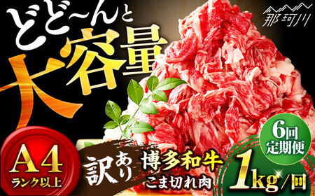 [全6回定期便]博多和牛 牛肉 切り落とし 大容量 1000g(500g×2P)[株式会社MEAT PLUS]那珂川市 牛肉 切り落とし 肉 定期便 大容量 肉 黒毛和牛 ブランド牛 国産 BBQ バーベキュー [GBW014]66000 66000円