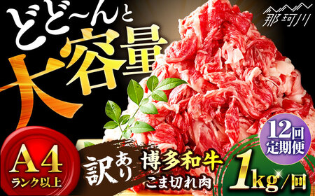 [全12回定期便]博多和牛 牛肉 切り落とし 大容量 1000g(500g×2P)[株式会社MEAT PLUS]那珂川市 牛肉 切り落とし 肉 定期便 大容量 肉 黒毛和牛 ブランド牛 国産 BBQ バーベキュー [GBW015]132000 132000円