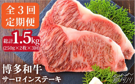 [全3回定期便]博多和牛 牛肉 サーロイン ステーキ 500g(250g×2枚)[株式会社MEAT PLUS]那珂川市 牛肉 サーロインステーキ 定期便 和牛 肉 黒毛和牛 ブランド牛 国産 BBQ バーベキュー [GBW016]59000 59000円