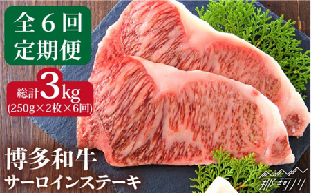 [全6回定期便]博多和牛 牛肉 サーロイン ステーキ 500g(250g×2枚)[株式会社MEAT PLUS]那珂川市 牛肉 サーロインステーキ 定期便 和牛 肉 黒毛和牛 ブランド牛 国産 BBQ バーベキュー [GBW017]118000 118000円