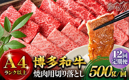 [全12回定期便]博多和牛 牛肉 焼肉 500g[株式会社MEAT PLUS]那珂川市 牛肉 肉 黒毛和牛 ブランド牛 国産 BBQ バーベキュー 焼肉 牛焼肉 牛肉 和牛 博多和牛 180000 180000円 