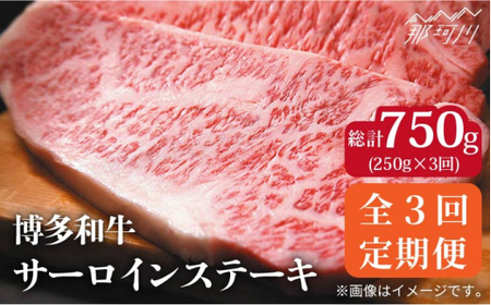 [全3回定期便]A4ランク以上!博多和牛 牛肉 サーロイン ステーキ 250g×1枚[株式会社MEAT PLUS]那珂川市 牛肉 サーロインステーキ 定期便 和牛 肉 黒毛和牛 ブランド牛 国産 BBQ バーベキュー [GBW031]33000 33000円