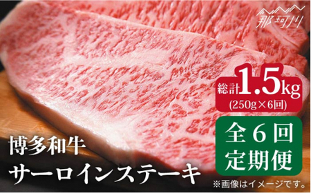 [全6回定期便]A4ランク以上!博多和牛 牛肉 サーロイン ステーキ 250g×1枚[株式会社MEAT PLUS]那珂川市 牛肉 サーロインステーキ 定期便 和牛 肉 黒毛和牛 ブランド牛 国産 BBQ バーベキュー [GBW032]66000 66000円