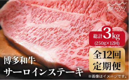 [全12回定期便]A4ランク以上! 博多和牛 牛肉 サーロイン ステーキ 250g×1枚[株式会社MEAT PLUS]那珂川市 牛肉 サーロインステーキ 定期便 和牛 肉 黒毛和牛 ブランド牛 国産 BBQ バーベキュー [GBW033]132000 132000円