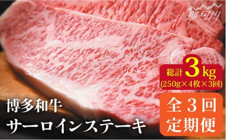 [全3回定期便]博多和牛 牛肉 サーロイン ステーキ 1kg(250g×4枚)[株式会社MEAT PLUS]那珂川市 牛肉 サーロインステーキ 定期便 和牛 肉 黒毛和牛 ブランド牛 国産 BBQ バーベキュー [GBW037]93000 93000円