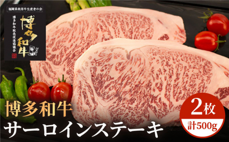 博多和牛 牛肉 A5 A4 サーロイン ステーキ 2枚(計500g)[株式会社チクゼンヤ]那珂川市 牛肉 サーロインステーキ 定期便 和牛定期便 肉 黒毛和牛 ブランド牛 国産 BBQ バーベキュー [GCF004]27000 27000円