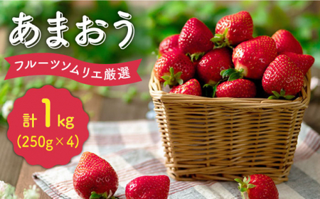 [12月上旬より発送]先行予約!福岡産 いちご[冬]あまおう 4パック[南国フルーツ株式会社] 那珂川市 いちご フルーツ くだもの 果物 あまおう 九州産 苺 国産 [GCD012]22000 22000円