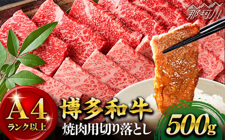 [和牛の旨味を堪能!]博多和牛 牛肉 焼肉 500g[株式会社MEAT PLUS]那珂川市 牛肉 肉 黒毛和牛 ブランド牛 国産 BBQ バーベキュー 焼肉 牛焼肉 牛肉 和牛 博多和牛 [GBW003]13000 13000円