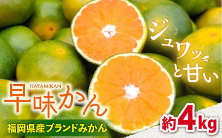 [9月中旬より発送]先行予約 福岡産ブランドみかん 早味かん 約4kg[南国フルーツ株式会社]那珂川市 みかん オレンジ ブランド フルーツ 果物 九州産 国産 [GCD024]22000 22000円