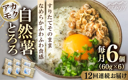 [全12回定期便][磯の風味が香るふわふわとろろ]那珂川産自然薯使用 博多自然薯アカモクとろろ 60g×6個[自然薯王国]那珂川市 野菜 自然薯 とろろ 白米 そば お好み焼き 健康 179000 179000円 