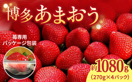 [2026年1月上旬より発送]先行予約!農家直送 朝採り新鮮いちご[博多あまおう]約270g×4パック[株式会社H&Futures] 那珂川市 いちご フルーツ くだもの 果物 あまおう 九州産 苺 国産 [GDS002]17000 17000円