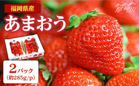 [2025年2月より発送]先行予約!『自然環境農法』で育てた福岡県産あまおう 約285g×2パック[おおきべりー株式会社]那珂川市 いちごあまおう 人気 いちご 苺 九州産 九州産 福岡 博多あまおう 福岡 フルーツ フルーツ くだもの 果物 苺 国産 [GZE001]13000 13000円