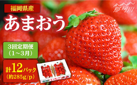 [全3回定期便]1~3月発送『自然環境農法』で育てた福岡県産あまおう 約285g×4パック[おおきべりー株式会社] 那珂川市 いちごあまおう 人気 いちご 苺 九州産 九州産 福岡 博多あまおう 福岡 フルーツ フルーツ くだもの 果物 苺 国産 [GZE004]75000 75000円